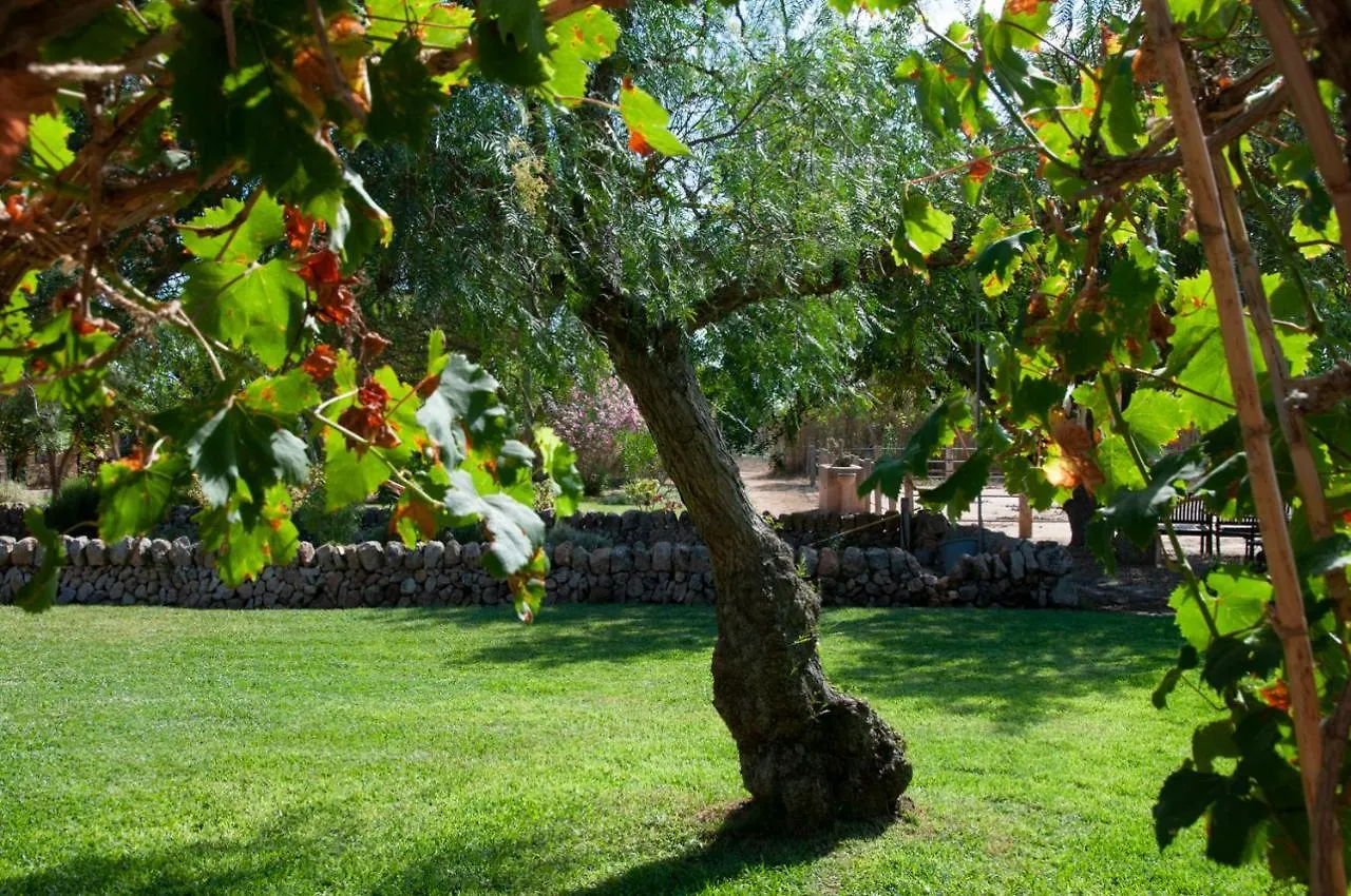 Séjour à la campagne Agroturismo Finca Sant Blai Campos  Espagne